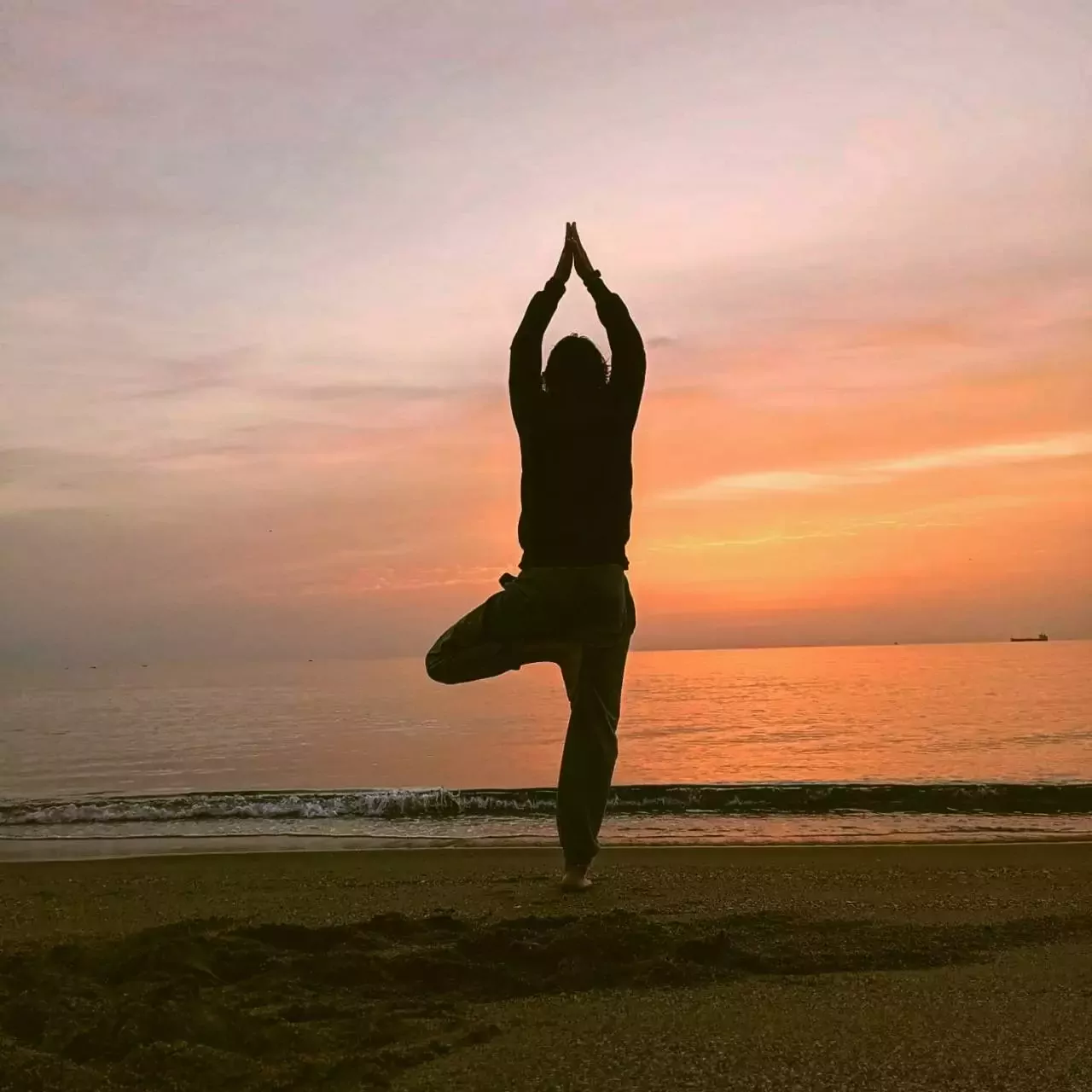 3. Asociación Yoga-S Sadhana (centro de prácticas de yoga)