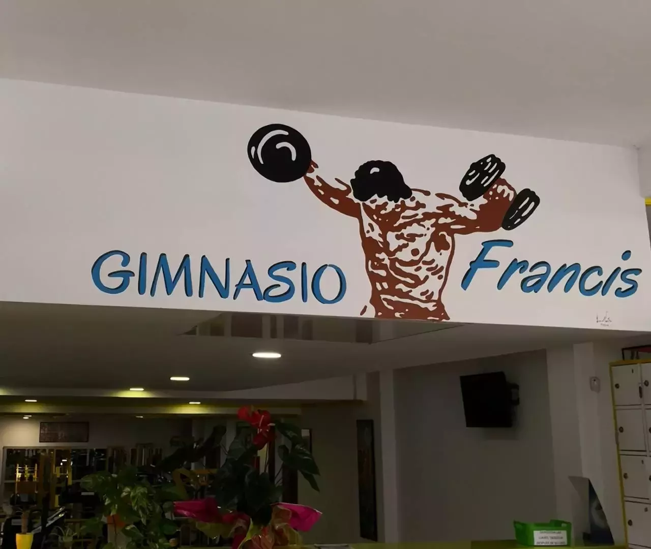 6. Gimnasio Francis