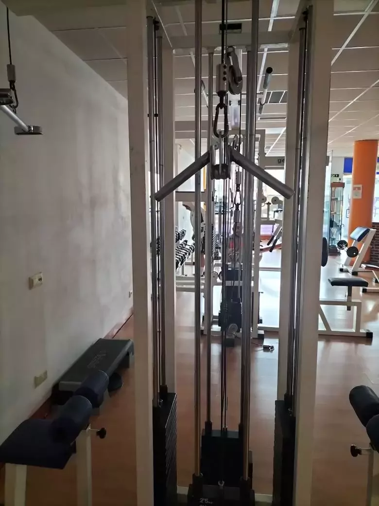 2. GIMNASIO PEDREGAL COLLOTO