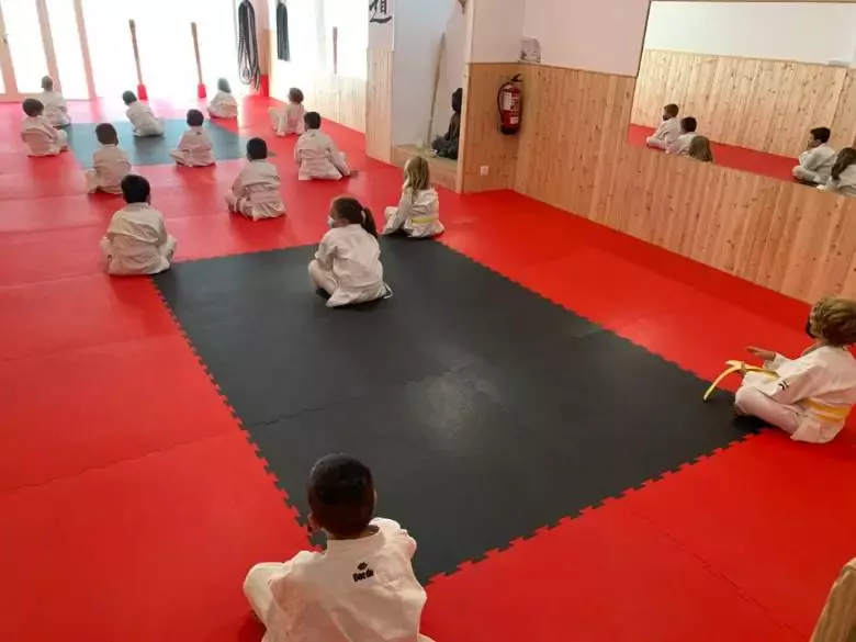 5. Kintsukuroi  - Dojo Shotokan Karate-Do  - Escuela de Kárate
