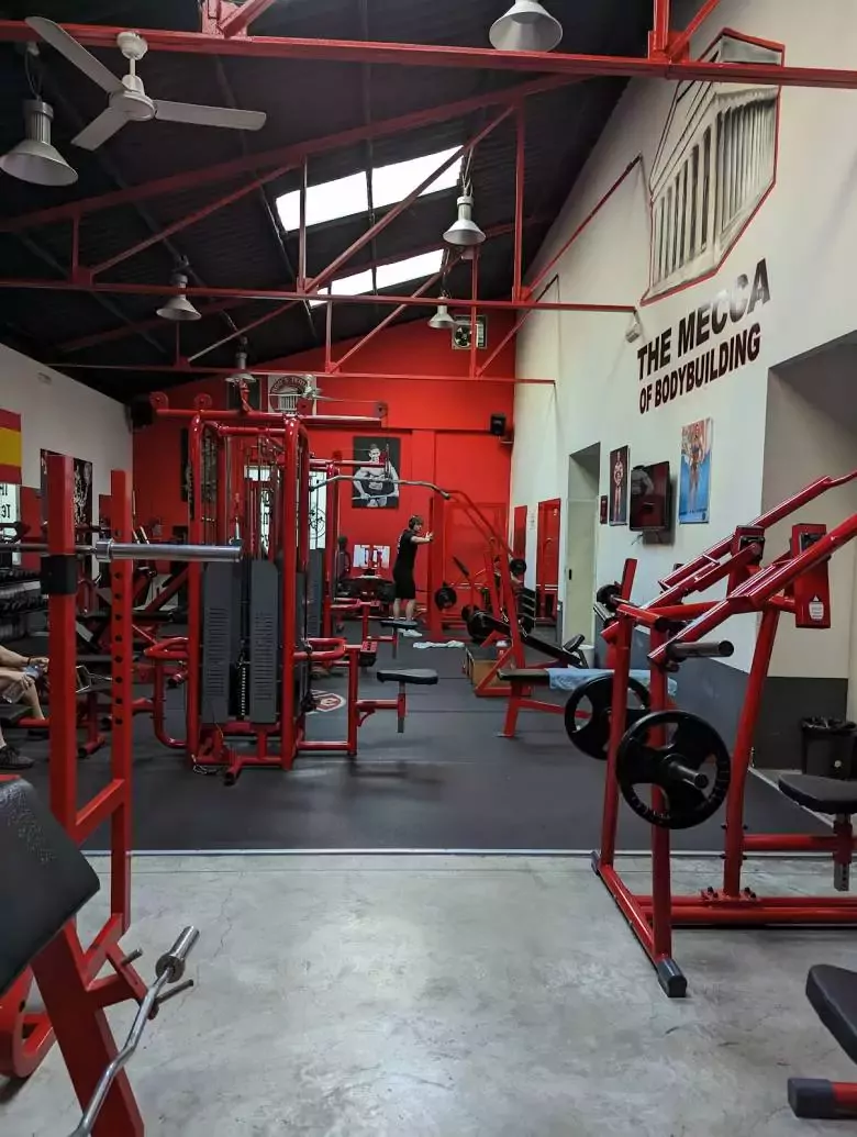 2. Iron`s Temple Gym