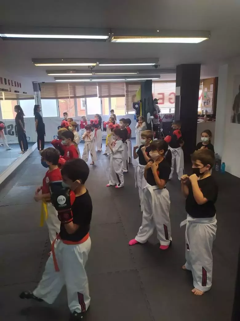 6. Mugendo. Escuela Artes Marciales Almazora