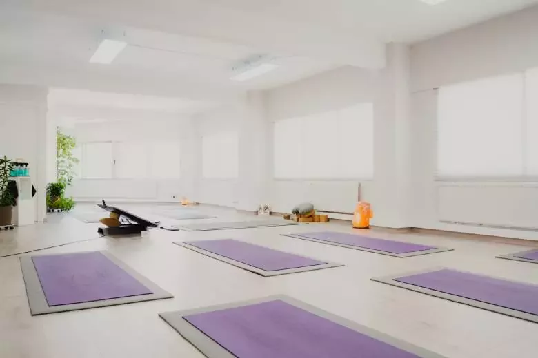 Hatha Yoga Shánkara