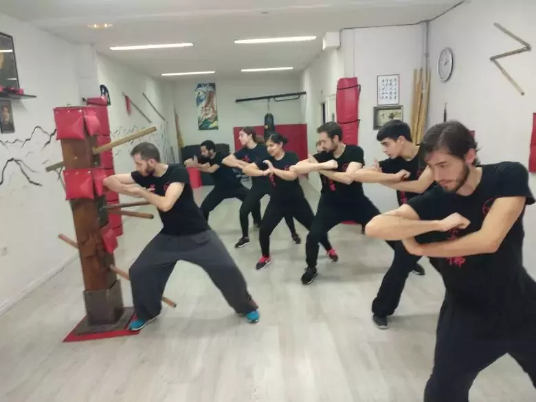 Escuela Luo Fu Shan - Kung Fu, Artes Marciales, Qigong. Gimnasio Salamanca