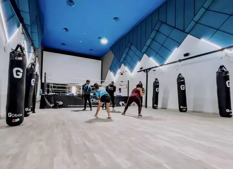 GObox Boxing Studio Las Rozas