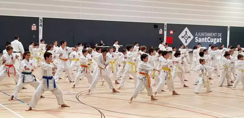 Club Karate Sant Cugat