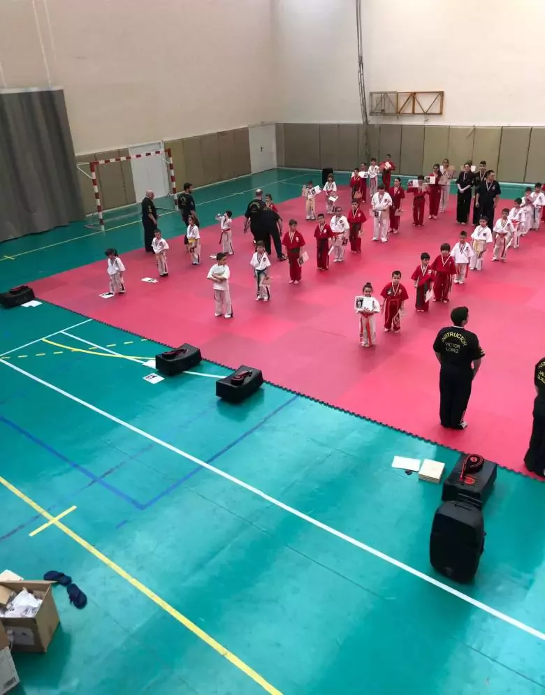 Artes Marciales Sant Boi - Mugendo