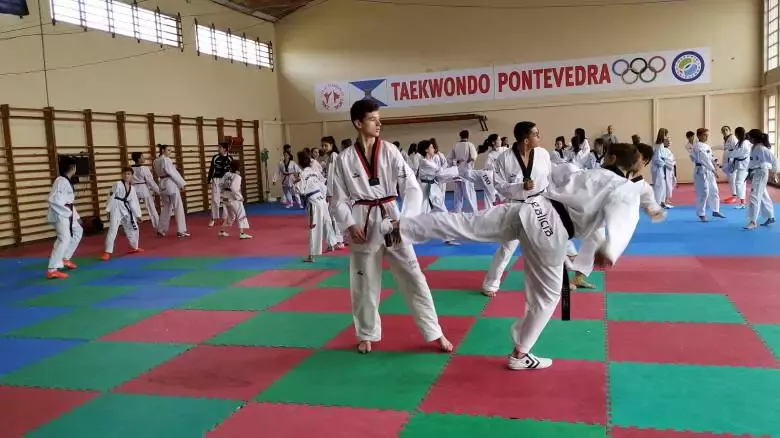 Club de taekwondo Mace Sport