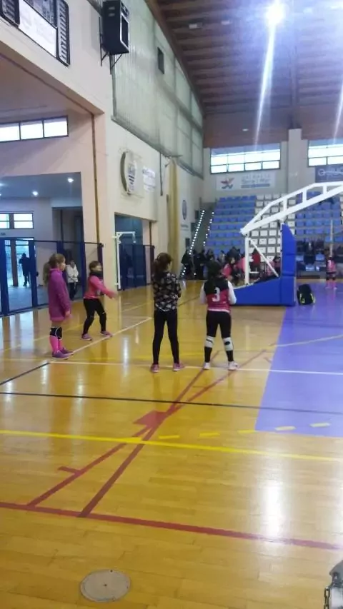 Servicio de Deportes Municipal de Gandía