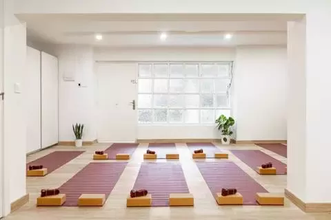 Viveyoga Estudio