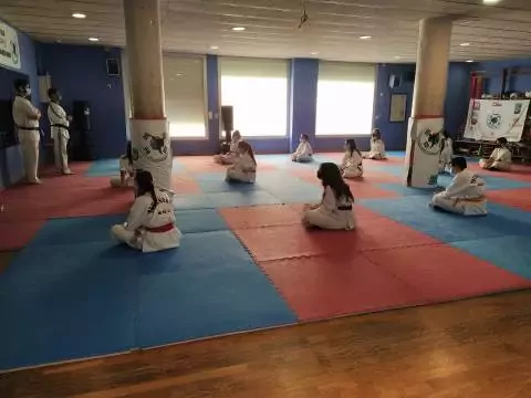 Taekwondo Balmes