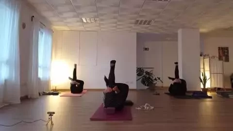 Mandala Estudio de Yoga