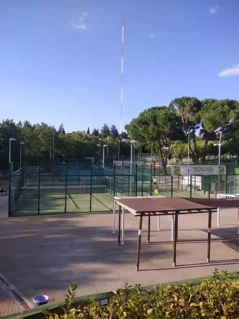 CET MAJADAHONDA GESTION DEPORTIVA