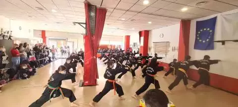 Escuela de Artes marciales mugin