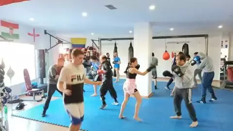 Boxing Club Orlando Araña