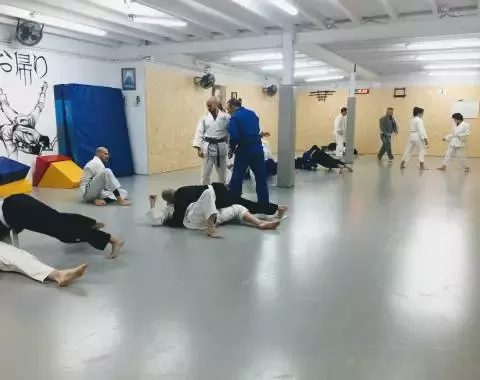 Gracie Jiu-Jitsu Viladecans