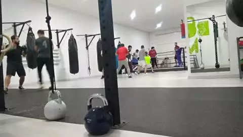 Box'in Mérida