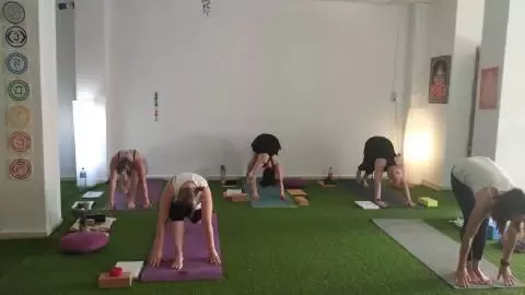 Ara Yoga y Bienestar