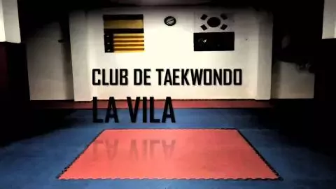 Club de Taekwondo La Vila de Vila-real