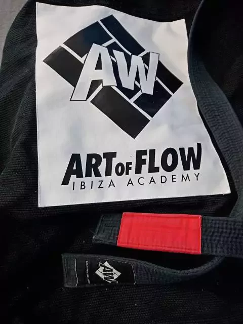 Art of Flow Bjj Brazilian jiujitsu Ibiza Academy