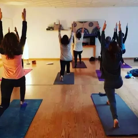 MOVERE Yoga