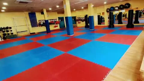 Club De Taekwondo Jan su Figueres