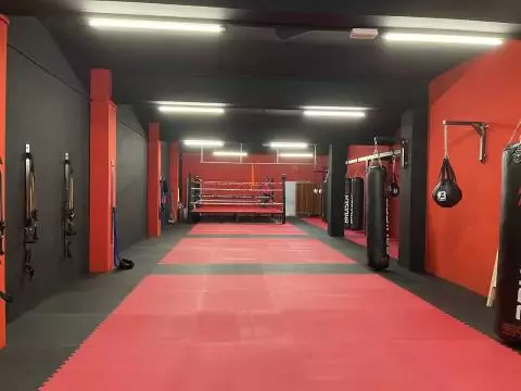 Training boxing