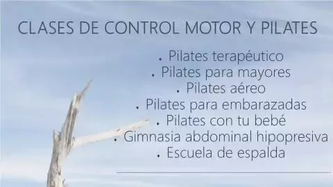 Elisabeth Nevado Pilates Studio Fisioterapeuta