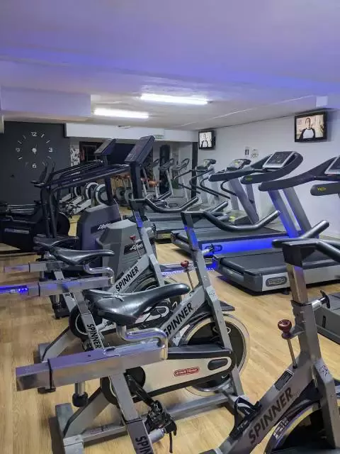 Gym Fitness