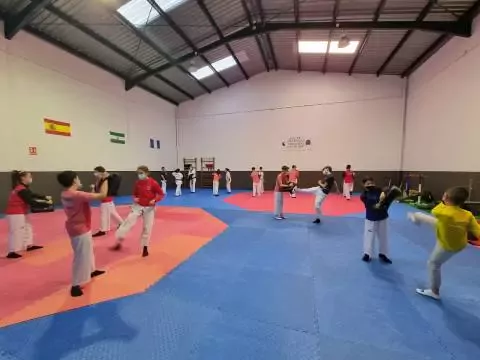 Taekwondo Pionyang Carmona