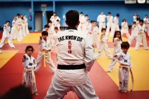 Club Taekwondo Villaviciosa de Odón
